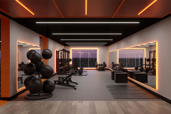 Gym & Wellness Space Interiors